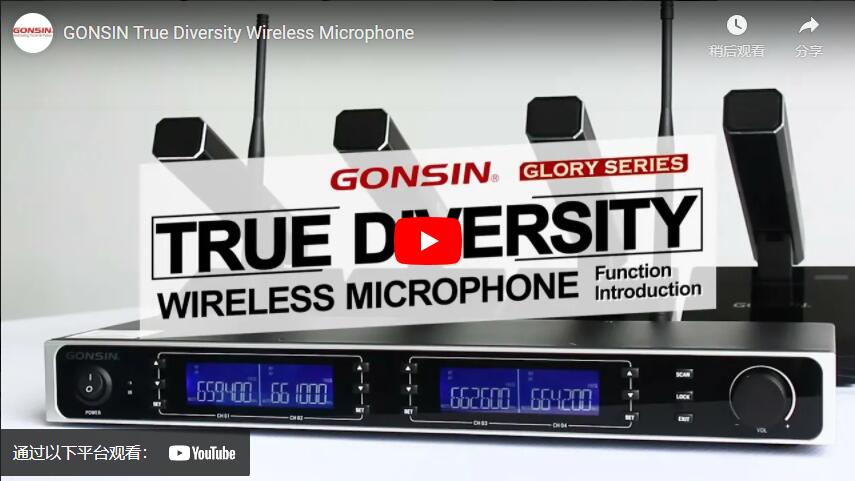 Беспроводной микрофон GONSIN True Diversity